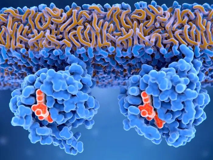 Framed Print : Inactive and active Ras proteins Framed Print : Inactive and active Ras proteins