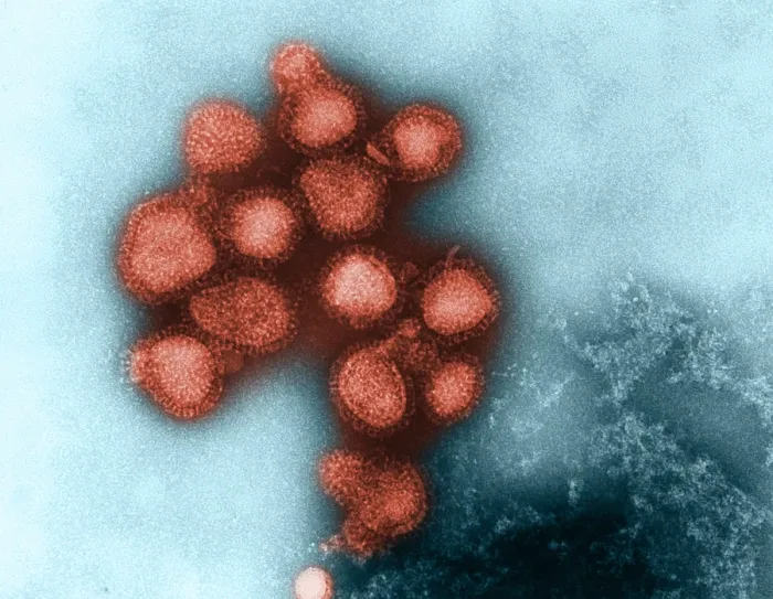 Framed Print : Influenza Virus Framed Print : Influenza Virus