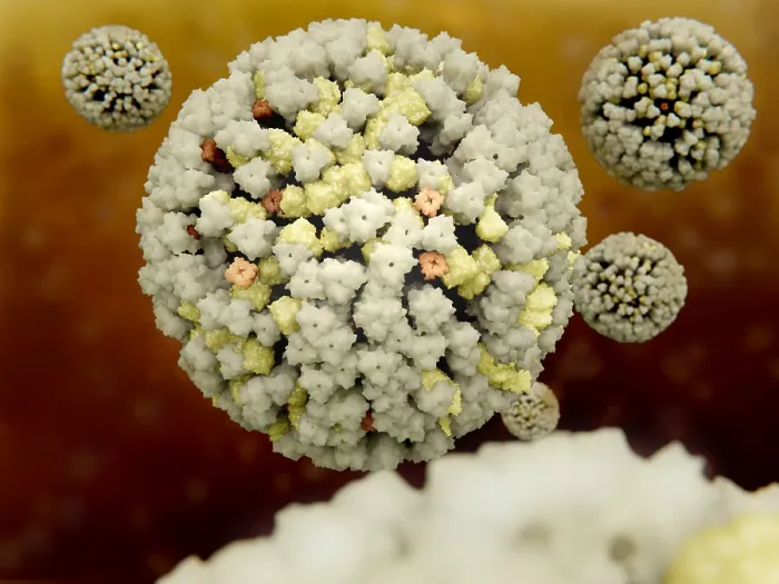 Framed Print : Influenza viruses Framed Print : Influenza viruses