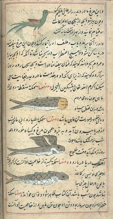 Framed Print : Islamic Mythical Creatures, 17th Century