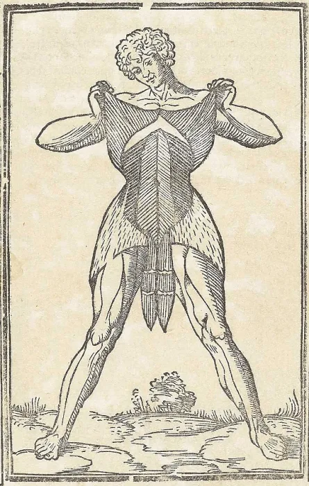 Framed Print : Jacopo Berengario da Carpi, Anatomy Framed Print : Jacopo Berengario da Carpi, Anatomy