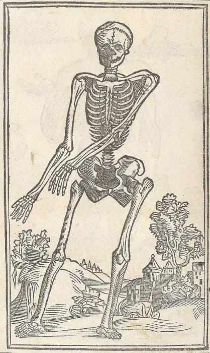 Framed Print : Jacopo Berengario da Carpi, Anatomy Framed Print : Jacopo Berengario da Carpi, Anatomy