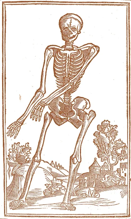 Framed Print : Jacopo Berengario da Carpi, Anatomy Framed Print : Jacopo Berengario da Carpi, Anatomy