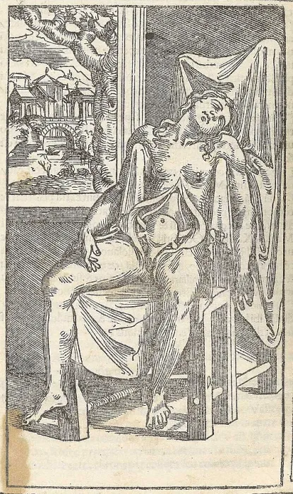 Framed Print : Jacopo Berengario da Carpi, Anatomy Framed Print : Jacopo Berengario da Carpi, Anatomy