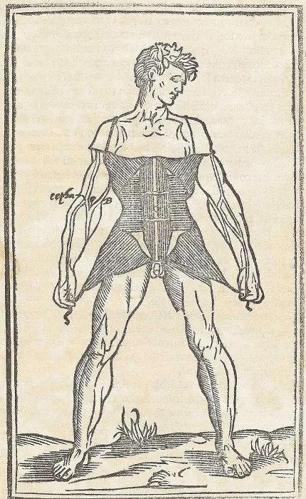 Framed Print : Jacopo Berengario da Carpi, Anatomy Framed Print : Jacopo Berengario da Carpi, Anatomy