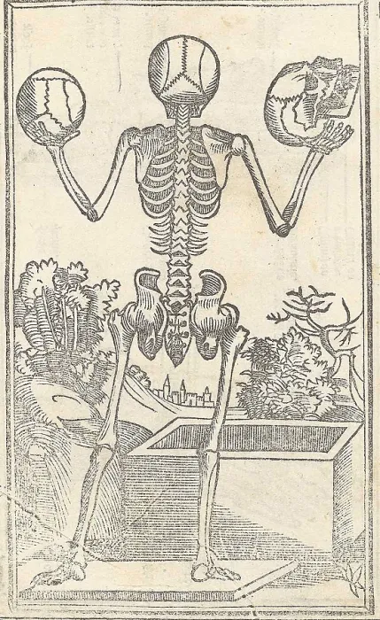 Framed Print : Jacopo Berengario da Carpi, Anatomy Framed Print : Jacopo Berengario da Carpi, Anatomy