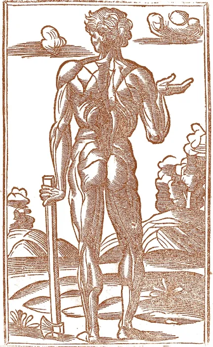 Framed Print : Jacopo Berengario da Carpi, Anatomy Framed Print : Jacopo Berengario da Carpi, Anatomy
