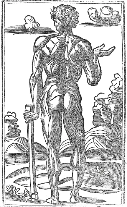 Framed Print : Jacopo Berengario da Carpi, Anatomy Framed Print : Jacopo Berengario da Carpi, Anatomy