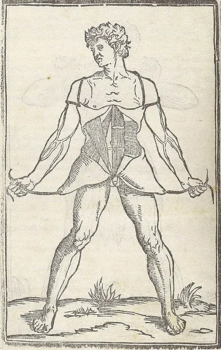 Framed Print : Jacopo Berengario da Carpi, Anatomy Framed Print : Jacopo Berengario da Carpi, Anatomy
