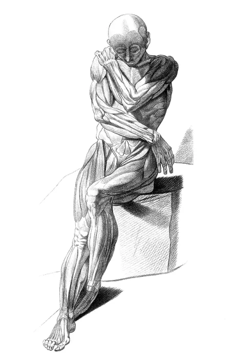 Framed Print : Jacques Gamelin, Nouveau d'osteologie, 1779 Framed Print : Jacques Gamelin, Nouveau d'osteologie, 1779