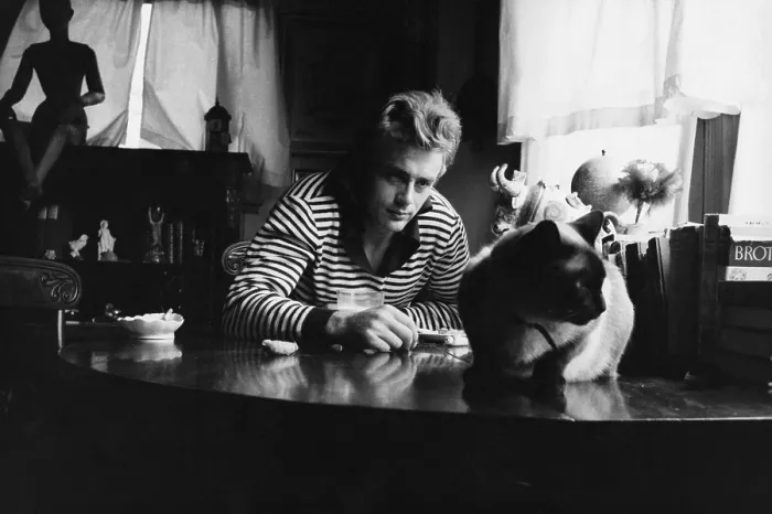 Framed Print : James Dean Framed Print : James Dean