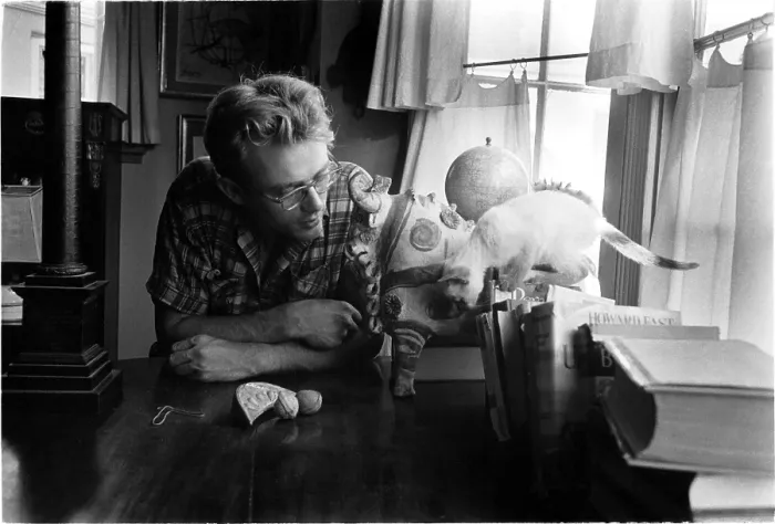 Framed Print : James Dean