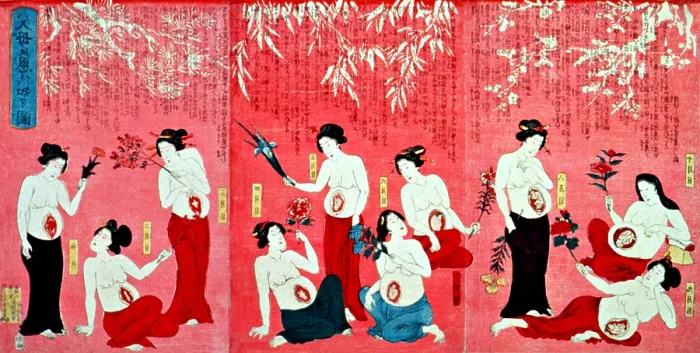 Framed Print : Japanese Triptych, Development of Fetus Framed Print : Japanese Triptych, Development of Fetus
