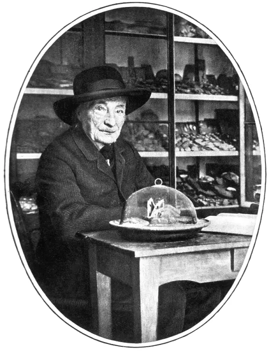Framed Print : Jean-Henri Fabre, French Entomologist