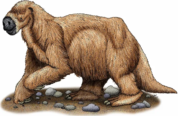 Framed Print : Jefferson's ground sloth Framed Print : Jefferson's ground sloth