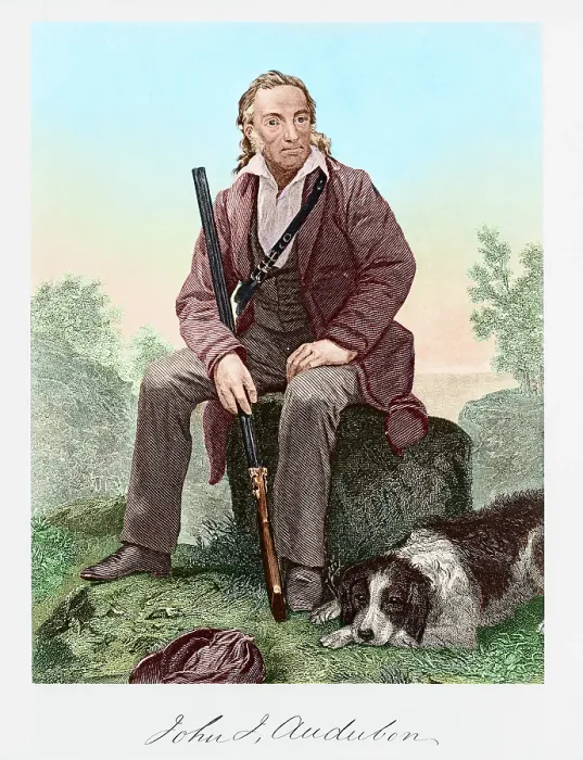 Framed Print : John James Audubon Framed Print : John James Audubon