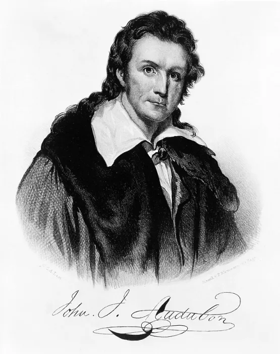 Framed Print : John James Audubon, French-American Naturalist Framed Print : John James Audubon, French-American Naturalist