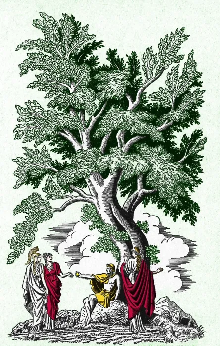 Framed Print : Judgement of Paris Framed Print : Judgement of Paris