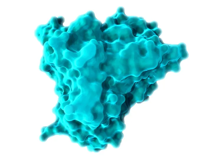 Framed Print : KRAS, Molecular Model Framed Print : KRAS, Molecular Model