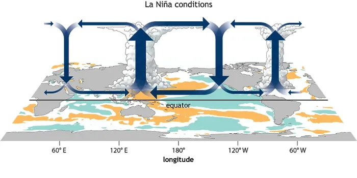 Framed Print : La Nina, Walker Circulation Anomaly Framed Print : La Nina, Walker Circulation Anomaly