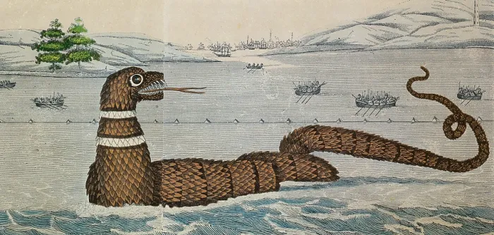 Framed Print : Legendary Gloucester Sea Serpent, 1817 Framed Print : Legendary Gloucester Sea Serpent, 1817