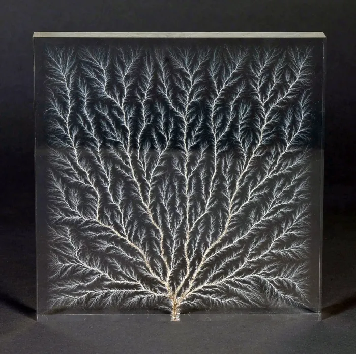Framed Print : Lichtenberg Figure, Electron Tree Framed Print : Lichtenberg Figure, Electron Tree