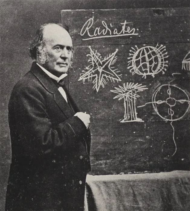 Framed Print : Louis Agassiz, Swiss-American Polymath Framed Print : Louis Agassiz, Swiss-American Polymath