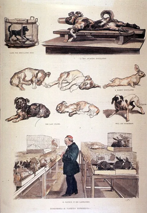 Framed Print : Louis Pasteur, French Microbiologist
