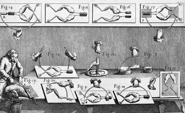 Framed Print : Luigi Galvani Experiments Framed Print : Luigi Galvani Experiments