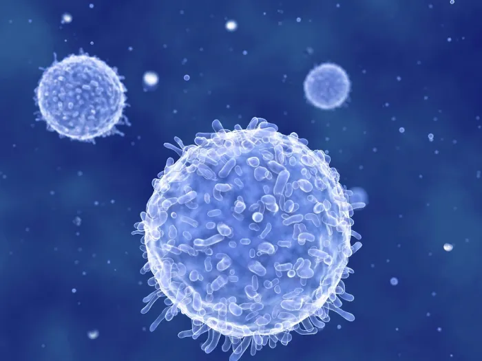 Framed Print : Lymphocytes, artwork Framed Print : Lymphocytes, artwork