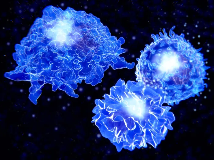 Framed Print : Macrophage, T-cell, and APC Framed Print : Macrophage, T-cell, and APC