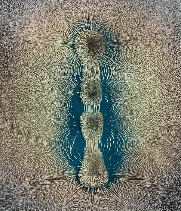 Framed Print : Magnetic Field Framed Print : Magnetic Field