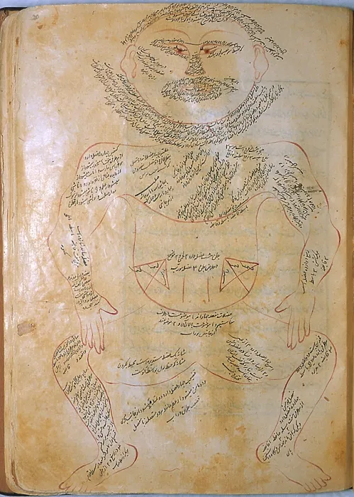 Framed Print : Mansur's Anatomy, Muscle System, 15th Century Framed Print : Mansur's Anatomy, Muscle System, 15th Century