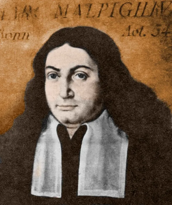 Framed Print : Marcello Malpighi, Italian Biologist and Inventor