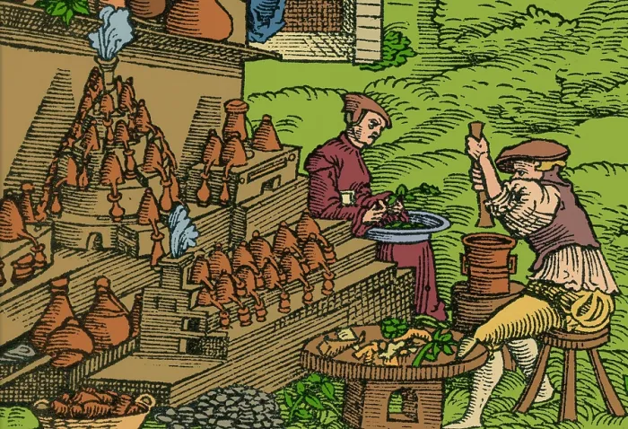 Framed Print : Medical Herb Cultivation, 16th Century Framed Print : Medical Herb Cultivation, 16th Century