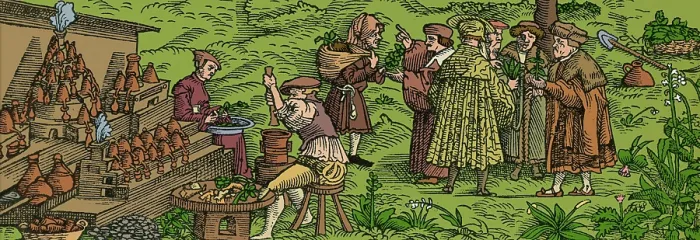 Framed Print : Medical Herb Cultivation, 16th Century Framed Print : Medical Herb Cultivation, 16th Century