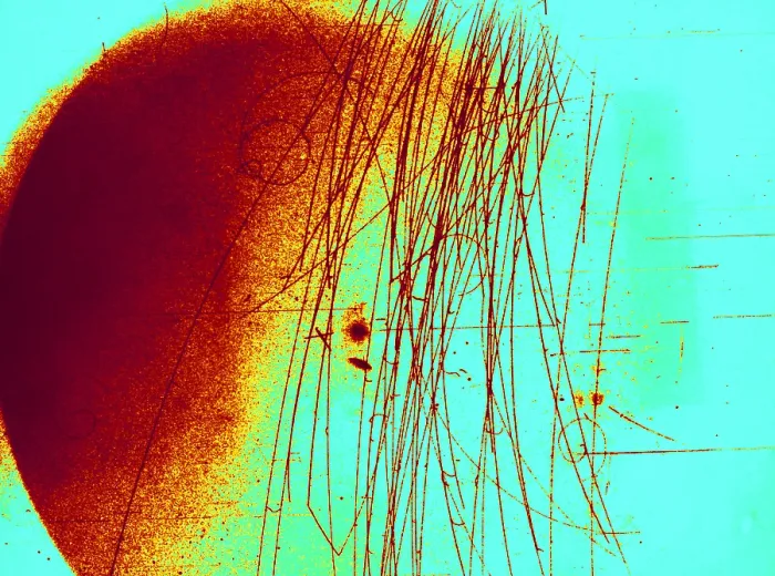 Framed Print : Meson Decay in Bubble Chamber Framed Print : Meson Decay in Bubble Chamber