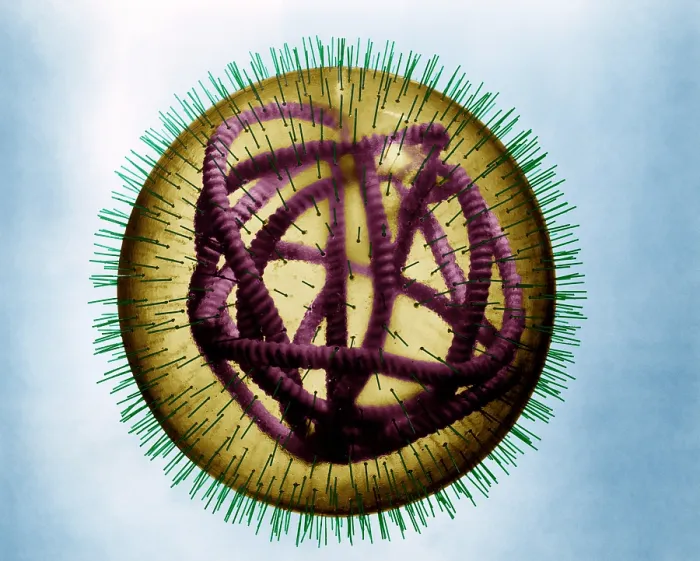 Framed Print : MeV, Measles Virus