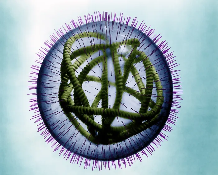 Framed Print : MeV, Measles Virus