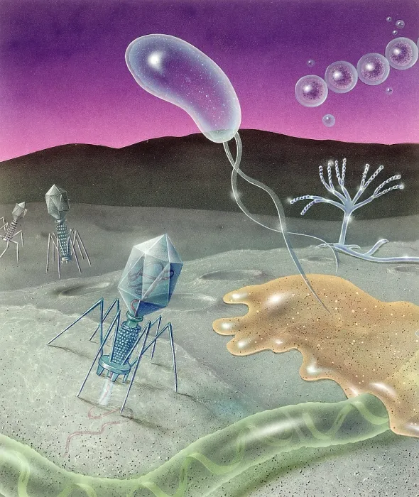 Framed Print : Microbial invasion