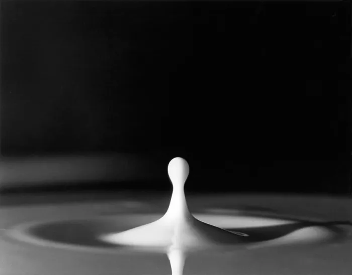 Framed Print : Milk Drop. A drop of milk Framed Print : Milk Drop. A drop of milk