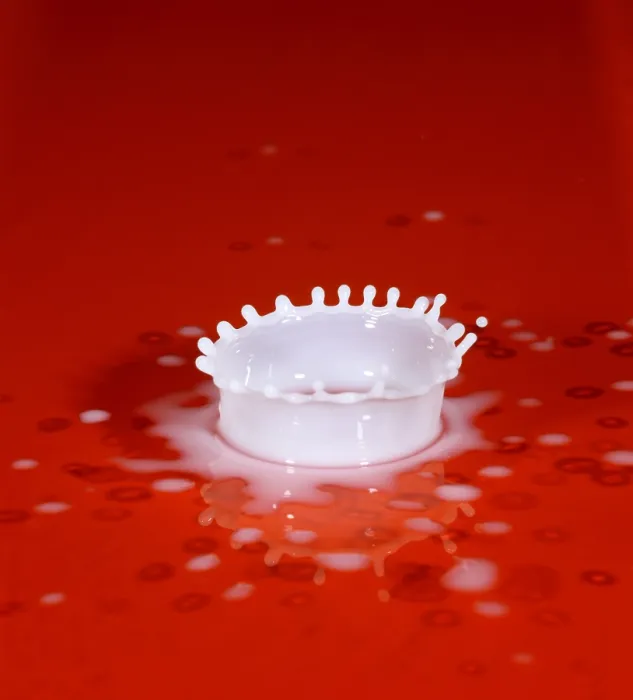 Framed Print : Milk Splash Framed Print : Milk Splash