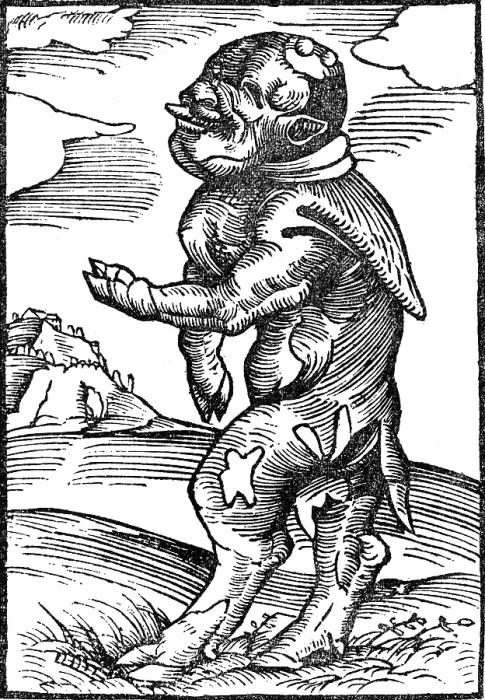 Framed Print : Monk Calf, Reformation Monster Framed Print : Monk Calf, Reformation Monster