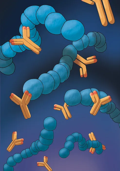 Framed Print : Monoclonal Antibodies, Illustration Framed Print : Monoclonal Antibodies, Illustration