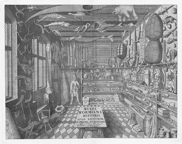 Framed Print : Museum Wormianum, Curiosity Cabinet, 1655 Framed Print : Museum Wormianum, Curiosity Cabinet, 1655