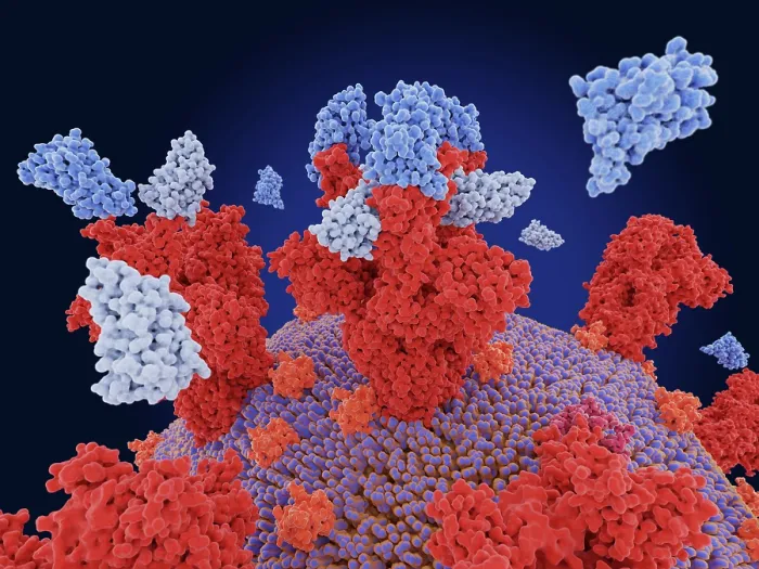 Framed Print : Nanobodies block SARS-CoV-2 infection Framed Print : Nanobodies block SARS-CoV-2 infection