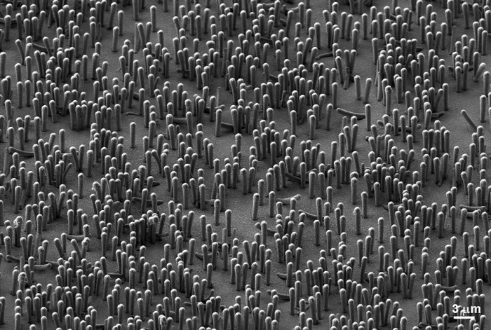 Framed Print : Nanowire Lithium-ion Batteries, under a microscope (SEM)
