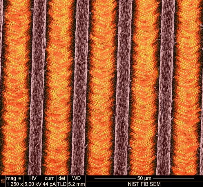 Framed Print : Nanowires, Nanowalls, scanning electron micrograph Framed Print : Nanowires, Nanowalls, scanning electron micrograph