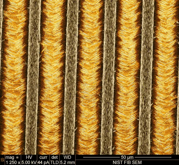 Framed Print : Nanowires, Nanowalls, scanning electron micrograph