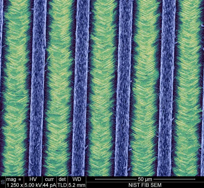 Framed Print : Nanowires, Nanowalls, scanning electron micrograph Framed Print : Nanowires, Nanowalls, scanning electron micrograph